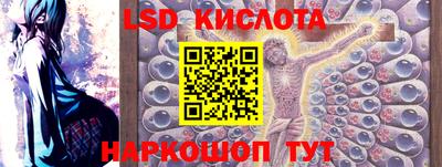 мяу мяу мука Краснознаменск