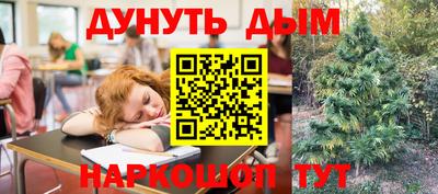 мяу мяу мука Краснознаменск